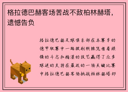 格拉德巴赫客场苦战不敌柏林赫塔，遗憾告负